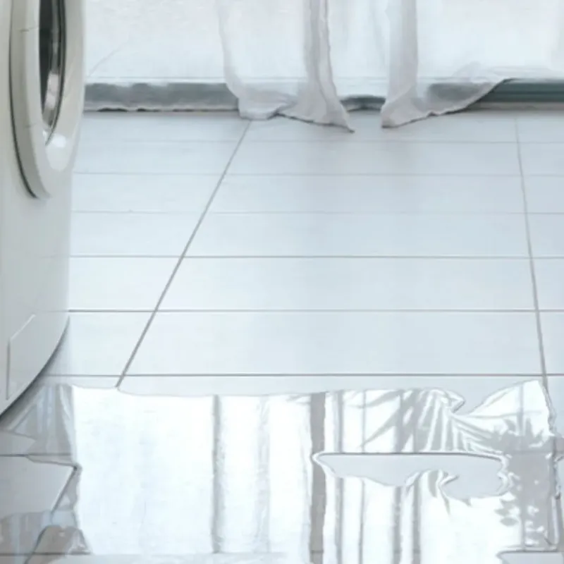 Appliance Leak Cleanup in Ferndale, MI