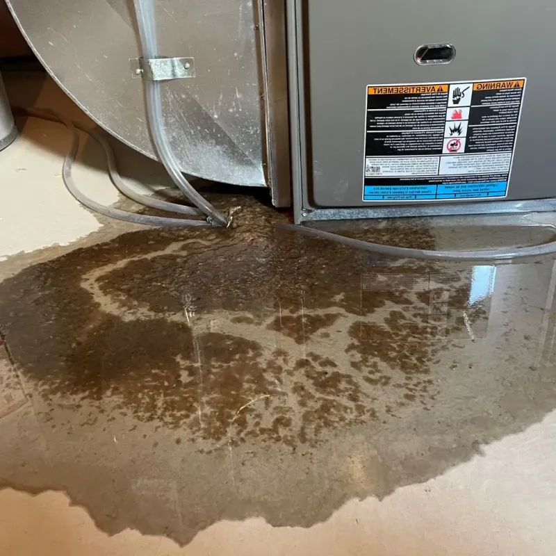 Pipe Burst and Leak Restoration in Ferndale, MI