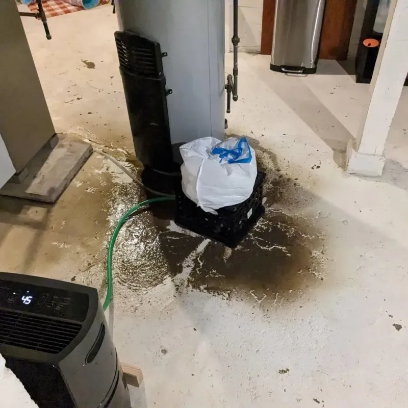 Sewage Backup Cleanup Service in Ferndale, MI